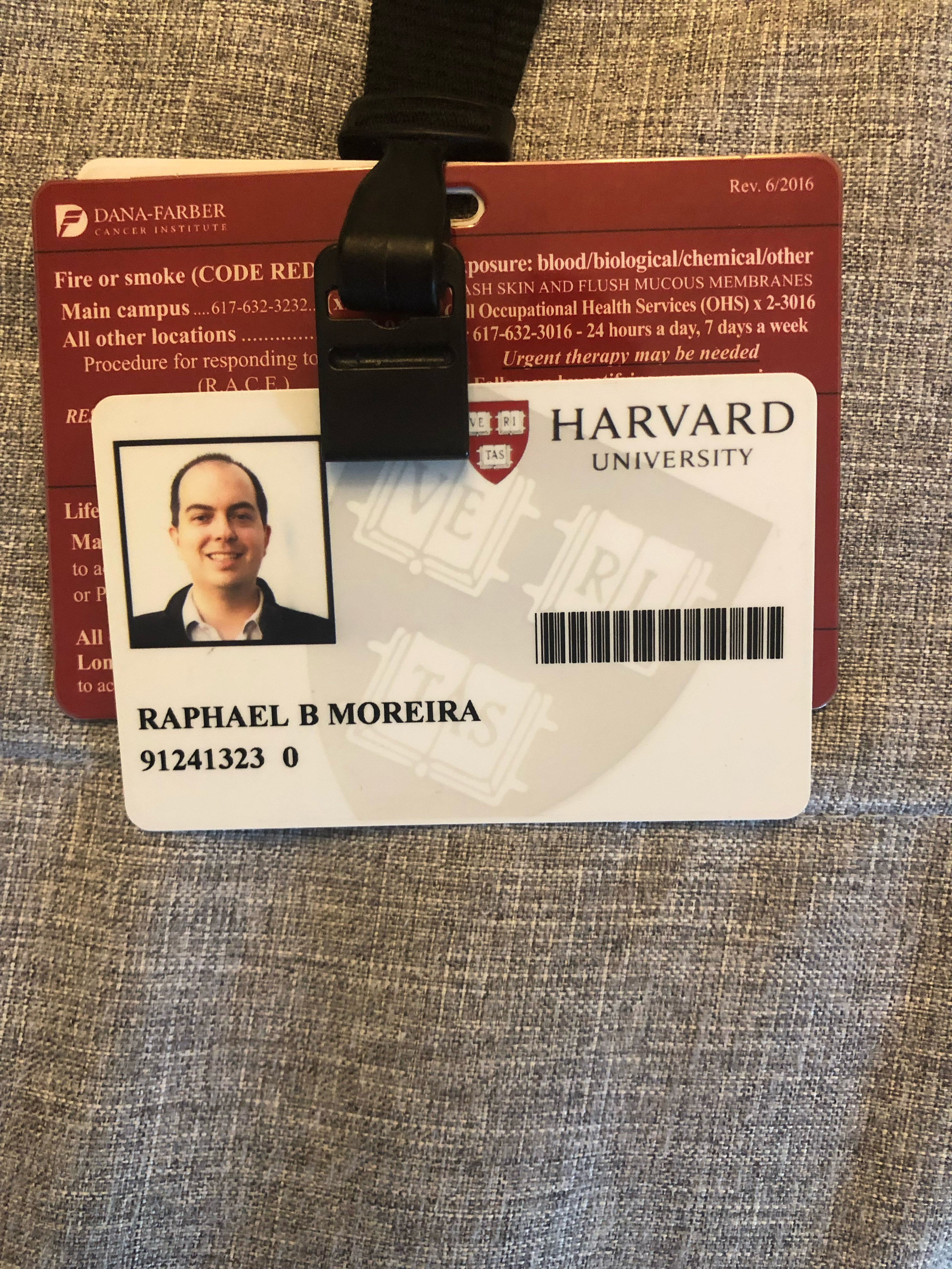 Crachá Harvard University - RAPHAEL B MOREIRA